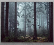 Poster - Into The Forest - Choose Unframed Poster or Canvas