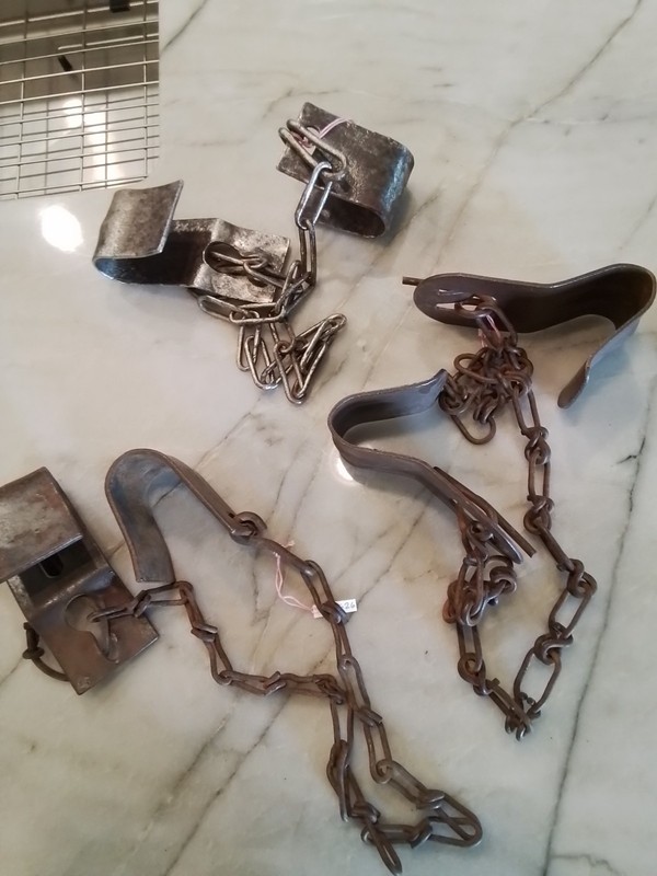 3 Vintage Galvanized Metal Milk Cow Kick Hobbles Chain Dairy 