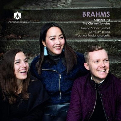 Johannes Brahms Brahms: Clarinet Trio/The Clarinet Sonatas (CD) Album