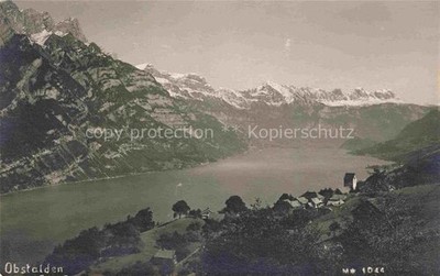 Obstalden Glarus GL Walensee See Bergpanorama Dorf Kirche Schneeberge Wiesen