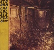 Kollaps Tradixionales von Thee Silver Mt.Zion | CD | Zustand sehr gut