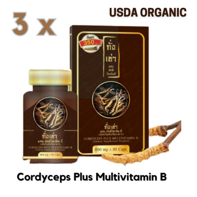 Cordyceps Plus Multivitamin Organic Healthy Increase Immune 600 mg 30 Caps x 3