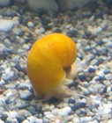 Foto 5 di 8