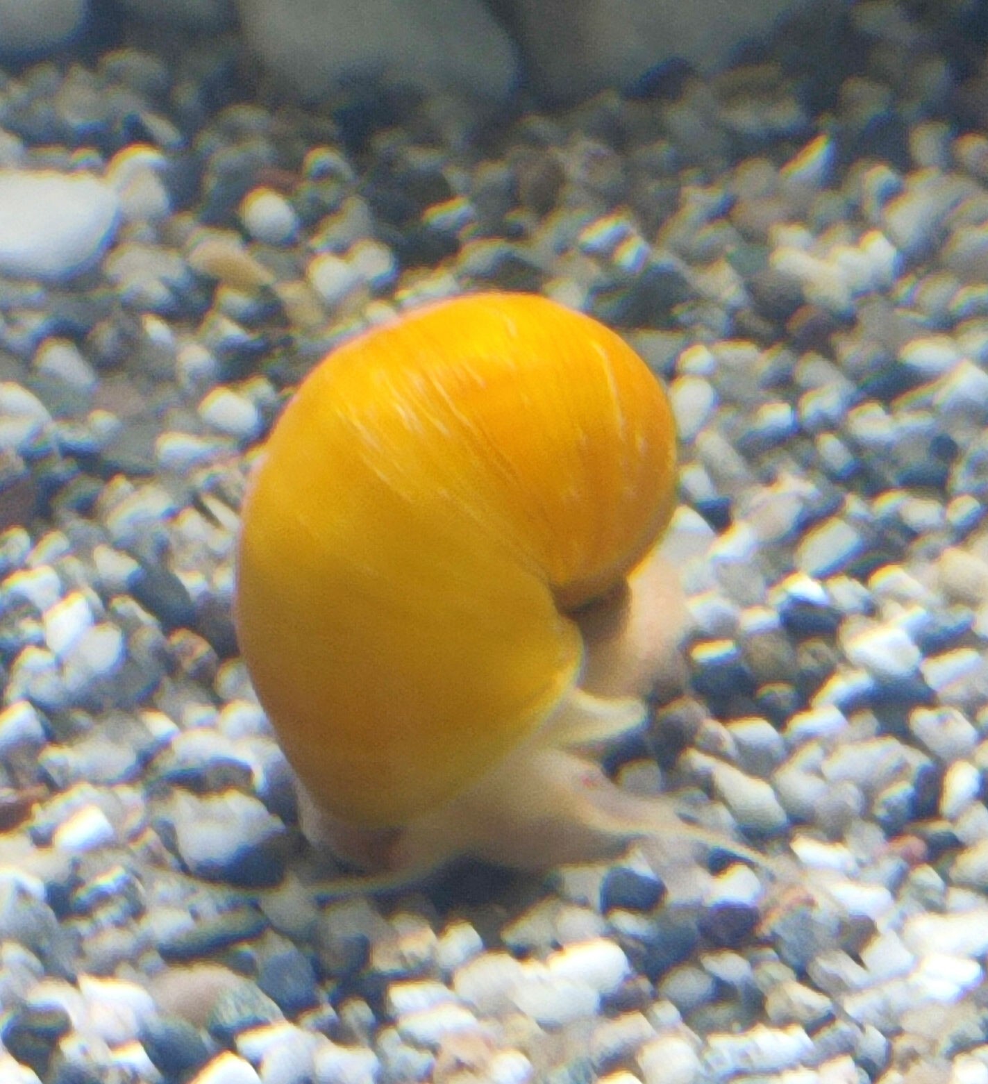 Foto 5 di 8