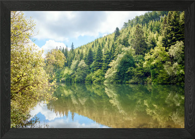 Wald See Reflexion gerahmtes Wandbild Poster Leinwanddruck Bild