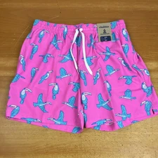 Chubbies Men's Classic Swim Trunks 5.5" The Toucan Do Its Mesh Lined Boardshorts