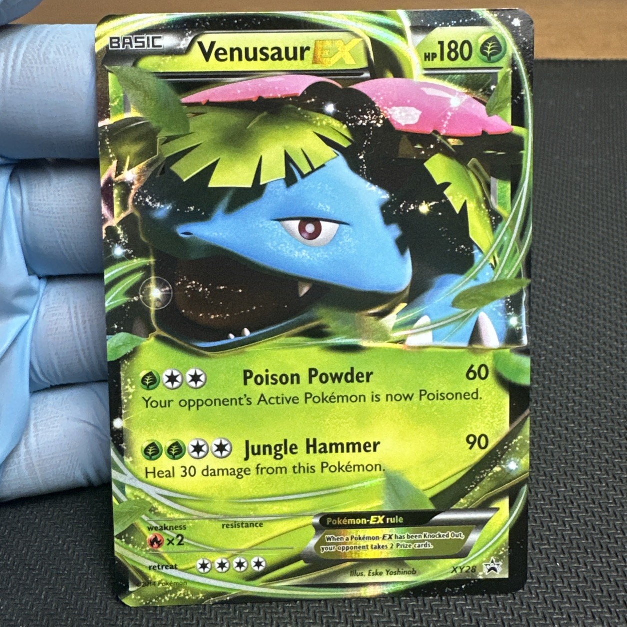 Pokemon Venusaur EX - XY28 Black Star Promo Ultra Rare Holo Pokemon Card - LP