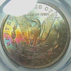 1884 RAINBOW MORGAN SILVER DOLLAR PCGS MS64~COLORFUL REVERSE RAINBOW TONING*