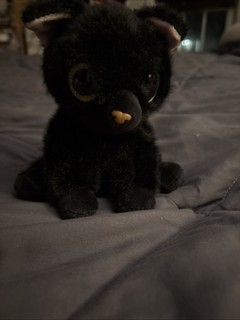 Pets Alive Smitten Kitten Interactive Plush by ZURU Black Kitten