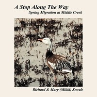 Richard & Mary Sewalt | A Stop Along The Way | Taschenbuch | Englisch (2012)