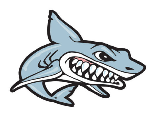 Shark Temporary Tattoos (25 tats) Swimming School Spirit Mascot Face Tattoo  | eBay