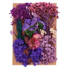 Pressed Flowers Bulk Dried Flowers Natural Pressed Flowers Leaves Purple