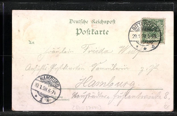 Lithographie Bitterfeld, Hotel Kaiserhof, Rathaus, Wasser-Turm 1898 - Bild 2 von 2