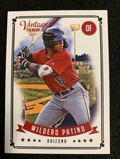 2020 Onyx Vintage Premium Wildero Patino #VPWP Arizona