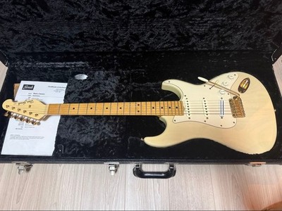 Don Grosh Retro Classic E-Gitarre