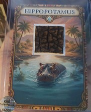 Hippo Taxidermy educational trading card display.