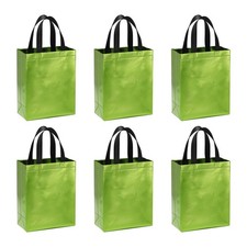 Light Green Gift Bags Laser Coating 6pcs Reusable Goodie Bags 8" x 4" x 10"