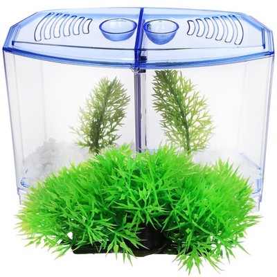 Aquariumpflanzen Kunststoff-aquarium Aquarienpflanzen Aus Plastikpflanzen Für