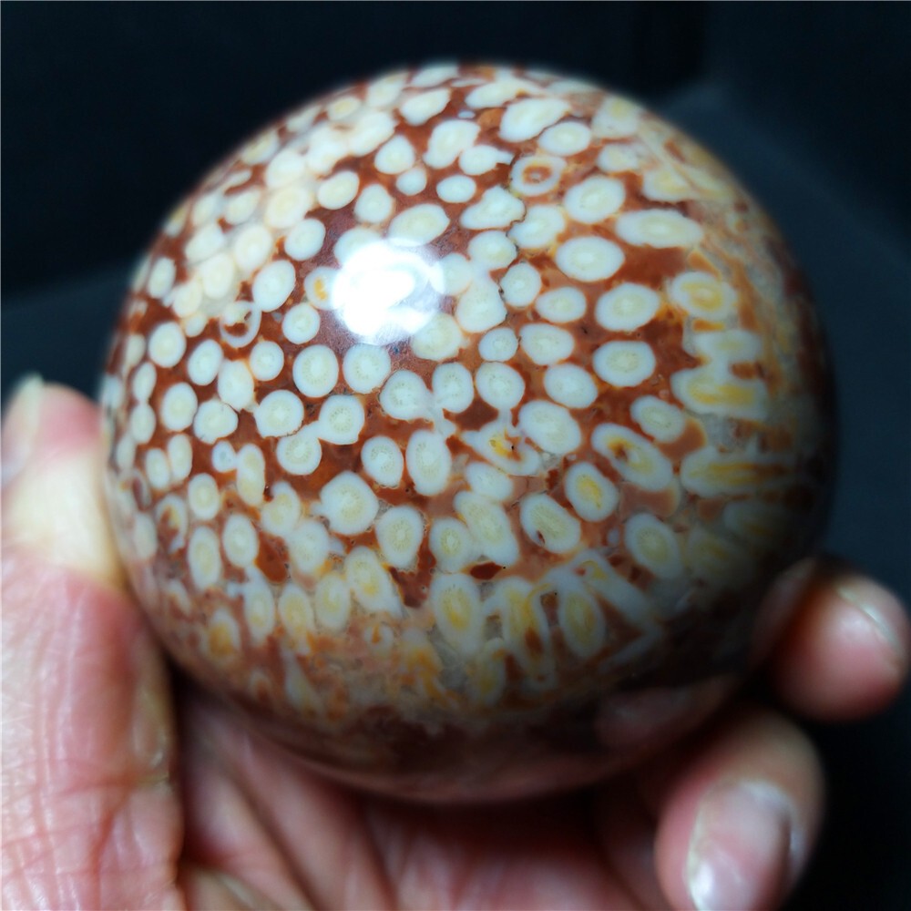 Rare 443.6G Natural Polished Coral Jade Agate Crystal Sphere Ball Healing  CB316