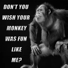 Custom Wooden Plaques – Handcrafted, Laser Engraved & Crystal Satin Poly Finish