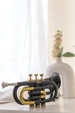 Pocket Trumpet BLACK BRASS Plated with Mouthpiece Case