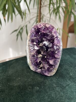 Hochqualitative Amethyst Druse AP257 0,73 Kg