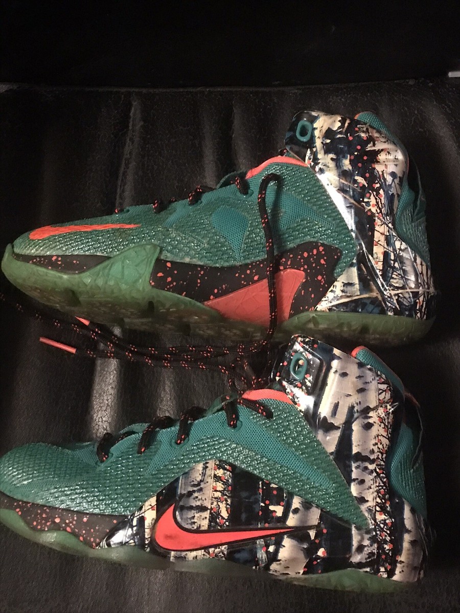 Size 5Y- Nike LeBron 12 Xmas Akron Birch 2014 | eBay