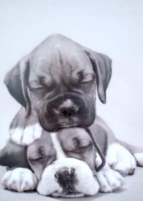 Papyrus Vintage Puppies Dog Valentine's Day Greeting Card ~ Wanna Snuggle?
