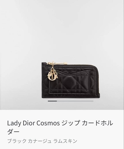 Lady Dior Cosmos Zip Card Holder