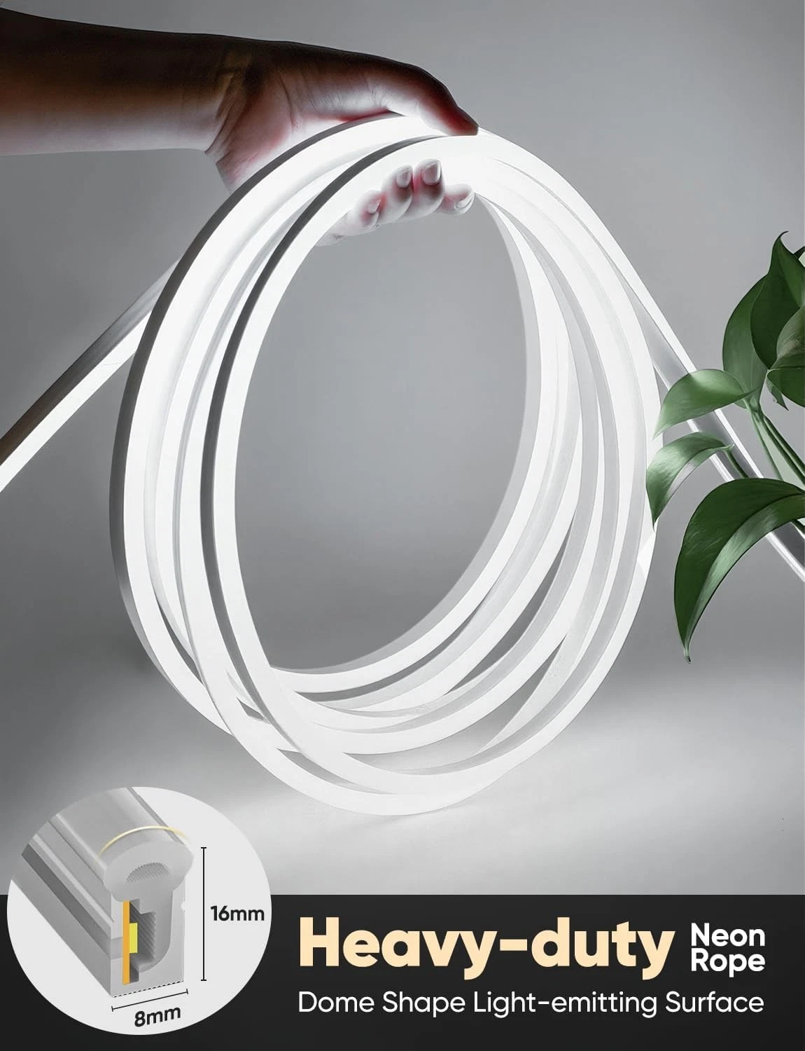 LED Neon Rope Lights 5000K Cool White, AC 110-120V Flexible 13M