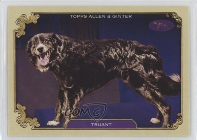 2024 Topps Allen & Ginter Best in Show Truant #SOS-4 0k6a