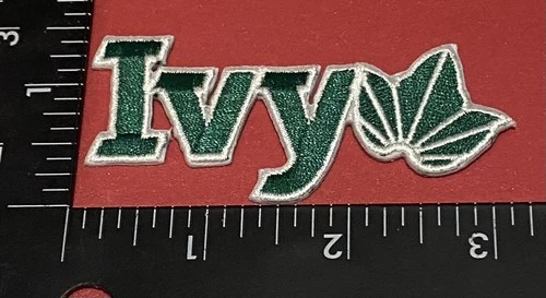 NCAA IVY LEAGUE IRON ON PATCH.          USA SELLER ??