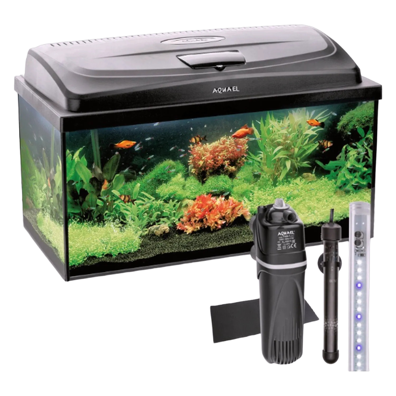 AQUAEL Acquario AQUA4START 60/P D&N Illuminazione LED Copertura LED Terrario 54L