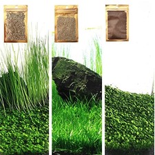 3 Aquarium Plants Set, 0.36ozTiny 0.36oz Long 0.36oz Short Fresh Water