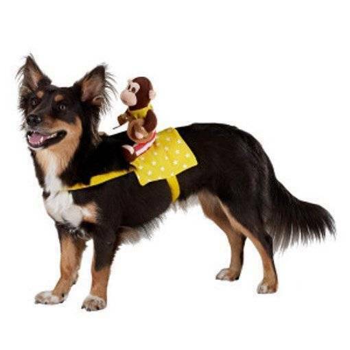 monkey dog costume