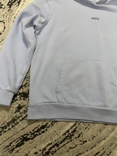 Paidinfull. Baby Blue Pullover Hoodie Size Medium Men’s Long Sleeves Rare - Picture 9 of 12
