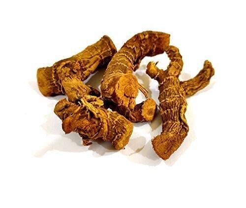 Kulanjan - Kulinjan - Paan Jadd - Paan Root - Pan Jad - Alpinia Galanga Wild - Bild 1 von 8