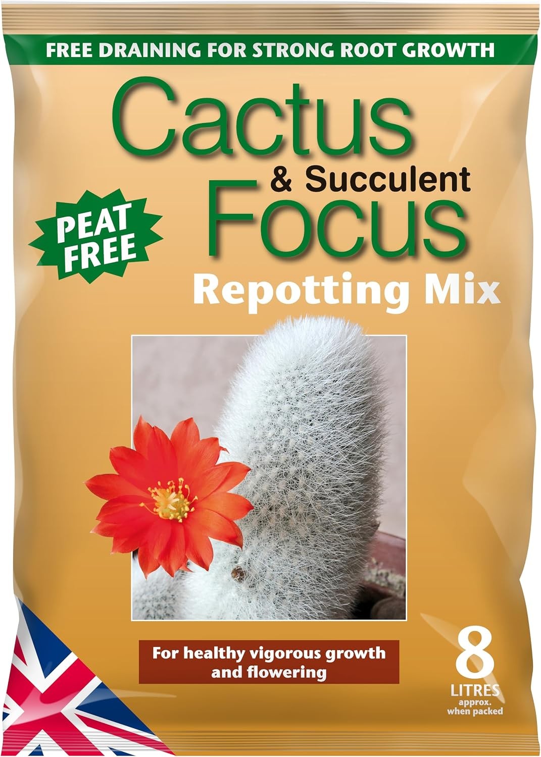 B&Q - Cactus And Succulent Compost 8L Peat Free - Image 2
