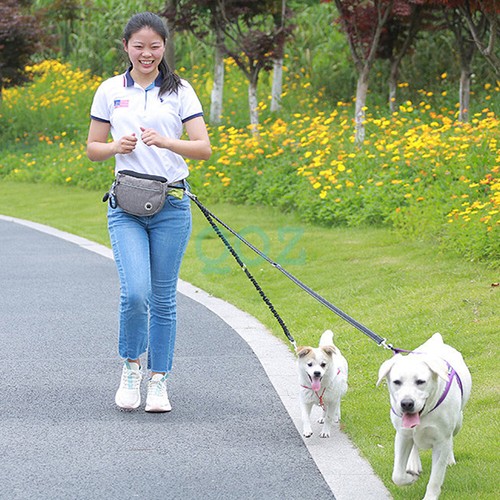 Dog Treat Training Pouch Pet Training Bag Large Capacity Puppy Snack Waist Bag - Picture 9 of 14