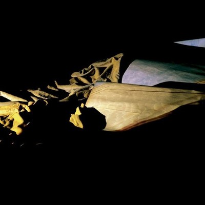 Holy Other Lieve (Vinyl) 12'' Album