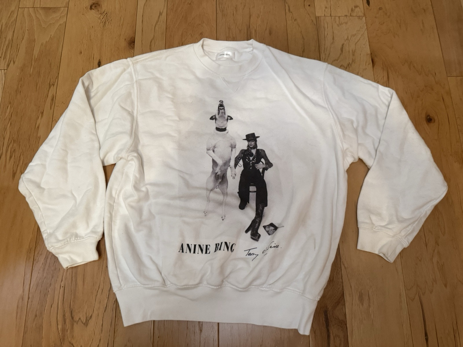 Anine Bing Ramona Graphic White Sweatshirt AB x TO x David Bowie