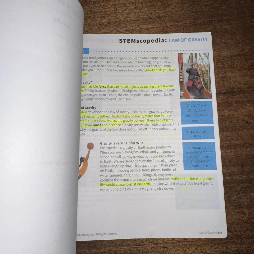 STEMscopes Florida Student Notebook, 3rd Grade Workbook Paperback PRE OWNED - Image 4 of 4