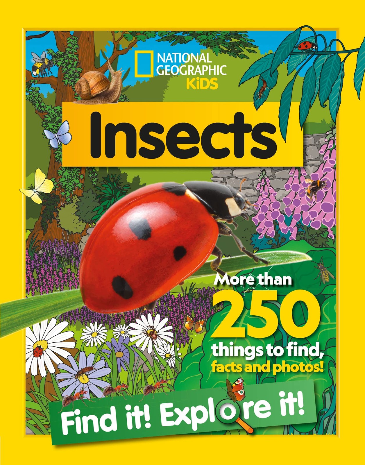 Insects Find It Explore It - Image 7