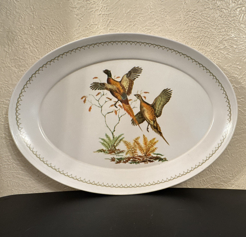 Unmarked Oval Hard Plastic Platter Bird Pattern White/Brown/Green Glossy
