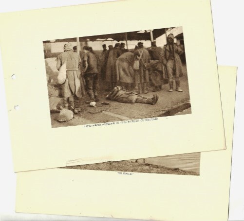 Picture 6 of 6