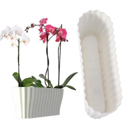 Orchideentopf Blumen Kasten Übertopf f. mehrere Pflanzen Kunststoff durchsichtig - Bild 10 von 14