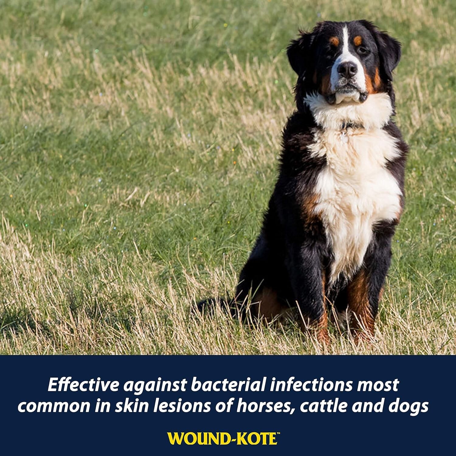 Farnam WoundKote Blue Lotion Spray Horse Wound Care for use on Horses