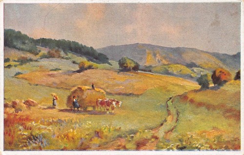 L303 Germany Hochsommerzeit im Schwarzwaldhaus Hay Cows Children postcard