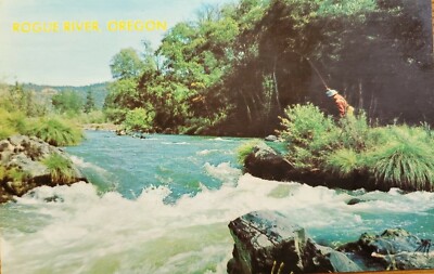 Rogue River Oregon - Fisherman Casts A Line in Rapids 1950s Vintage Postcard
