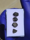 El Menia Meteorite 3.639g | 4 Mini Individuals | 2023 Witnessed Fall | COA — photo 7